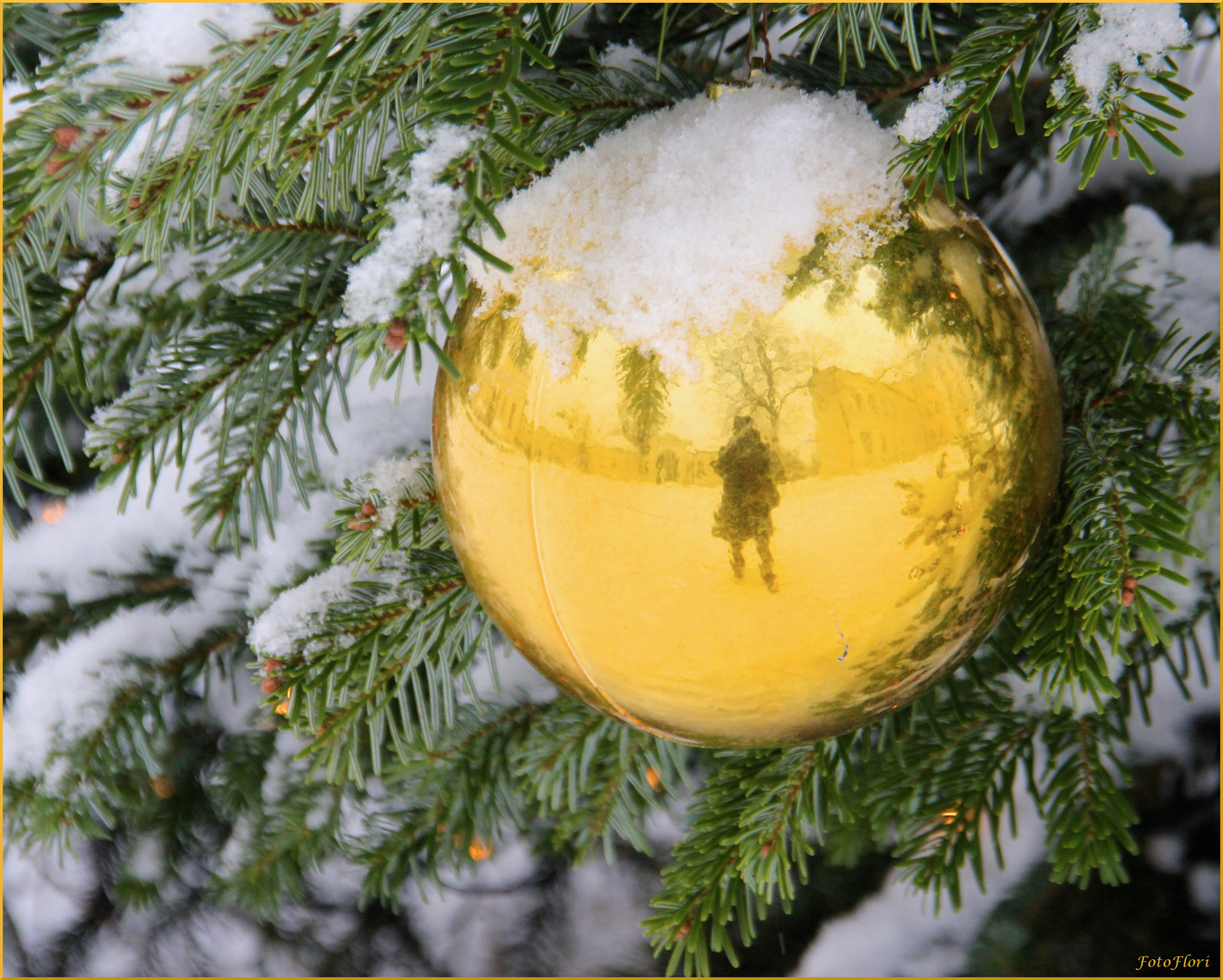 Weihnachtliche Spiegelei