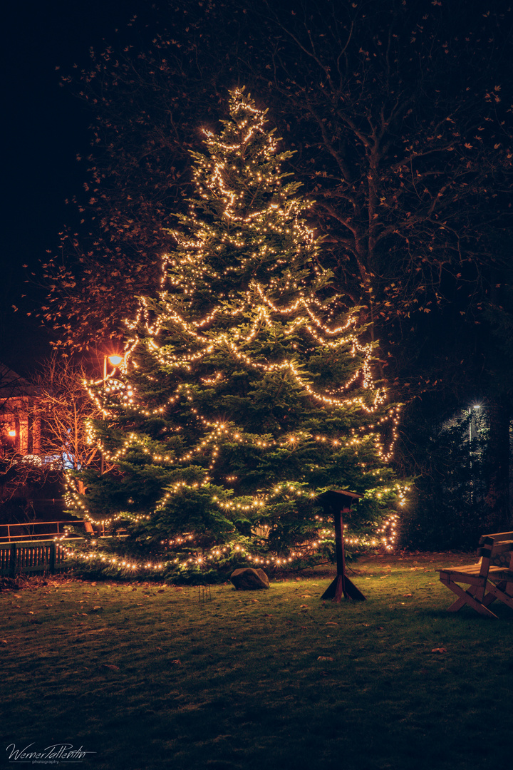Weihnachtliche Stimmung Foto & Bild deutschland, europe, schleswig