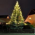 weihnachtlicher Baum