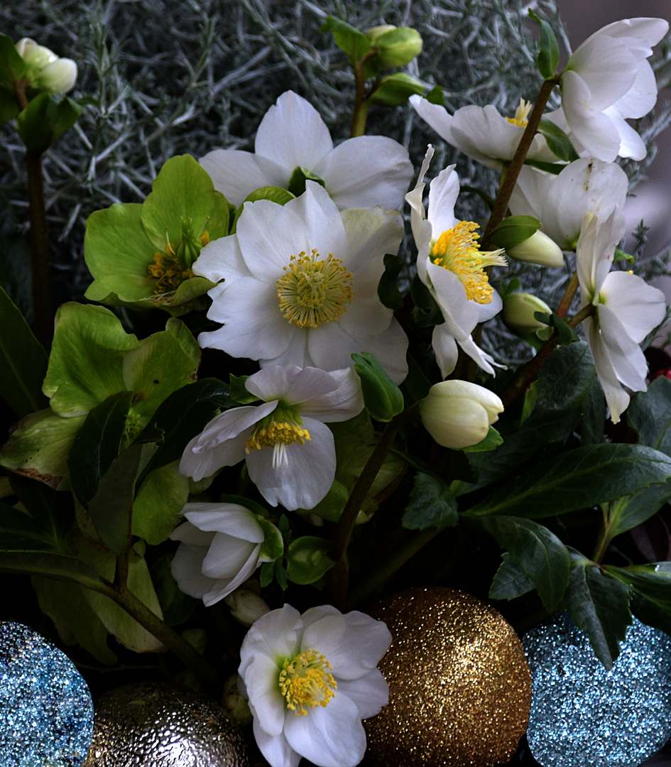 Weihnachtlicher Blumenschmuck