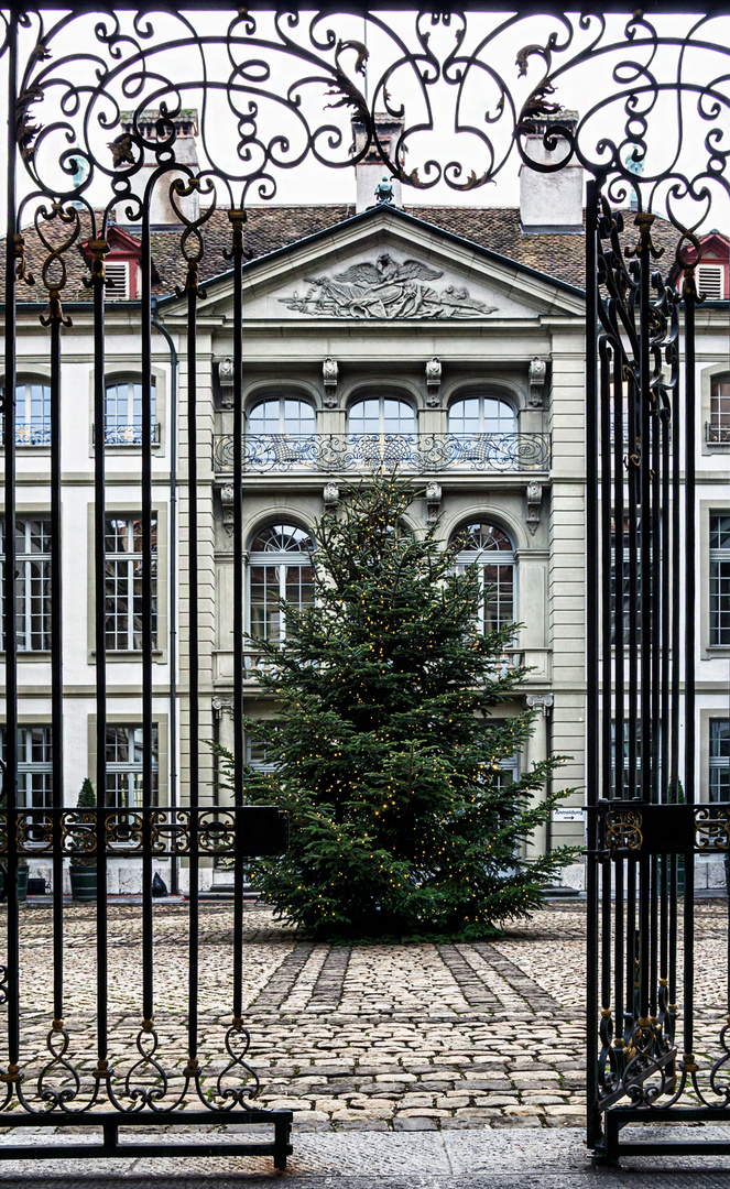 Weihnachtlicher Durchblick