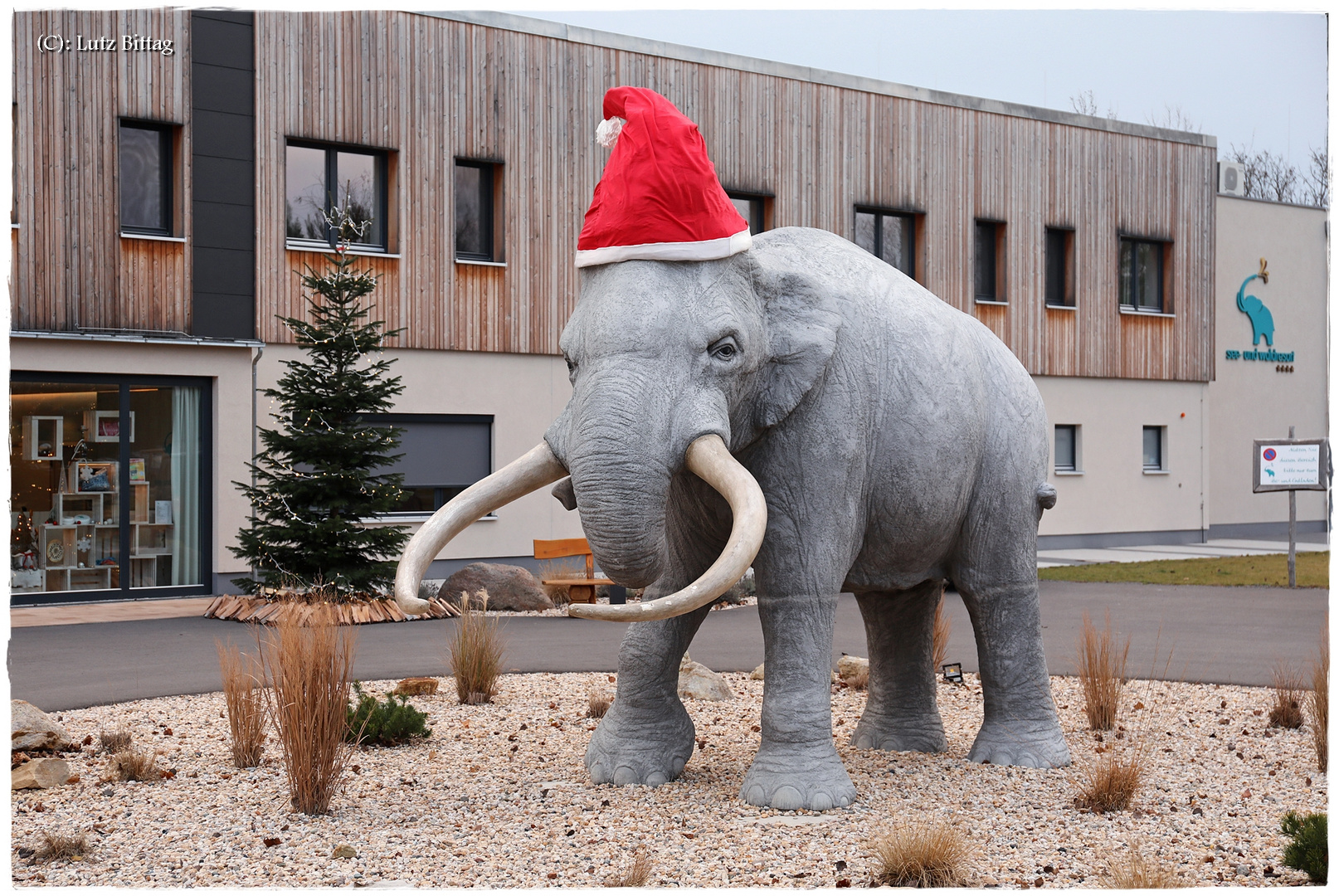 Weihnachtlicher Elefant