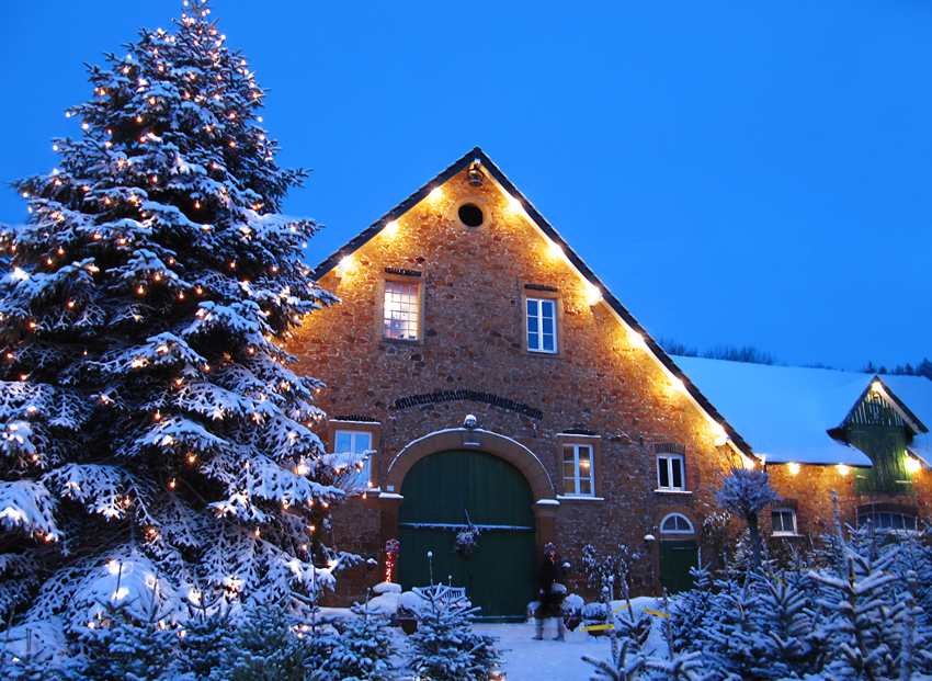 Weihnachtlicher Hof