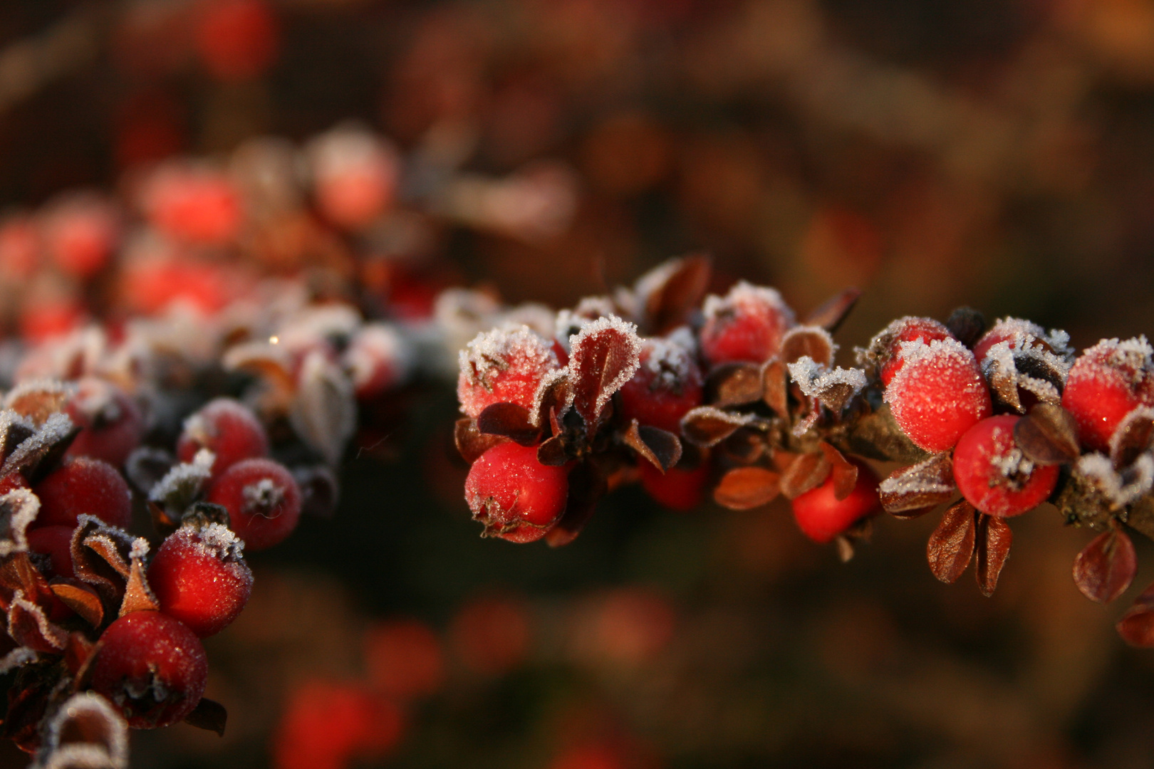 Weihnachtlicher Schmuck