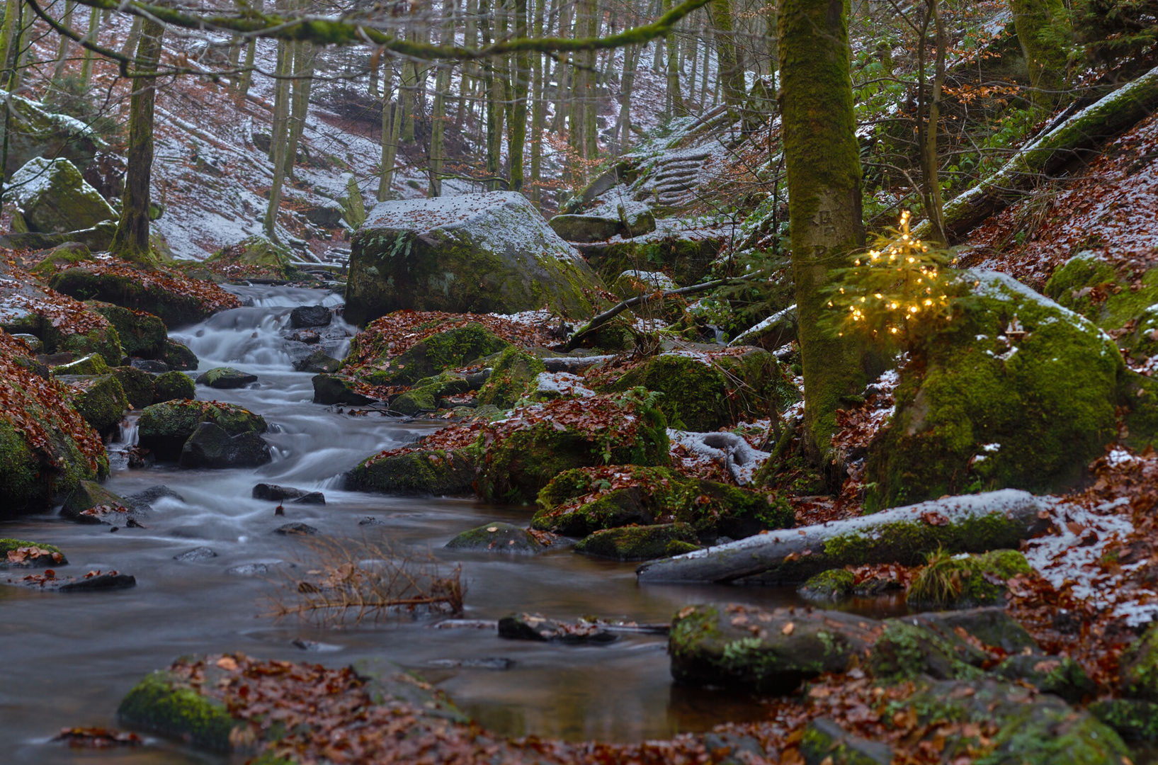 Weihnachtlicher Wildbach