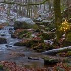 Weihnachtlicher Wildbach