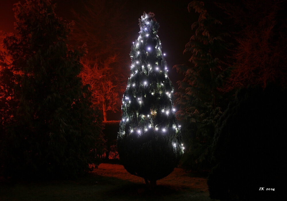 Weihnachtliches......