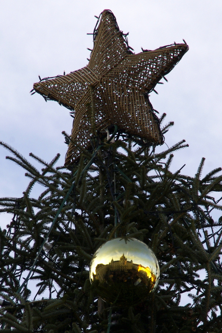 Weihnachtliches Fischauge