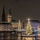 Weihnachtliches Hamburg - Alstertanne