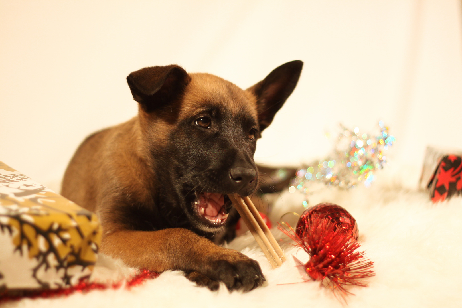 Weihnachtliches Mali-Baby