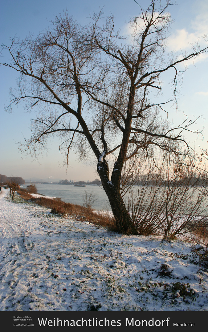 Weihnachtliches Mondorf