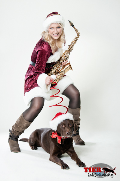 Weihnachtliches Shooting mit Labrador und Musikerin