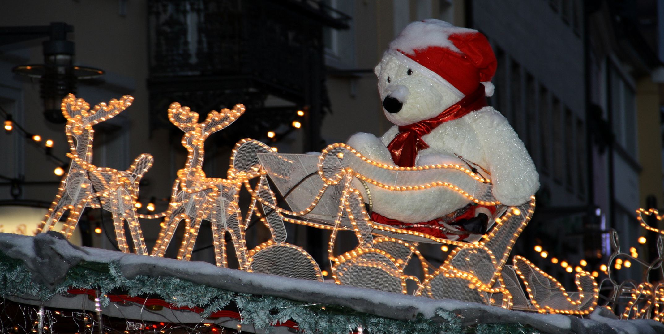 Weihnachts-Bär