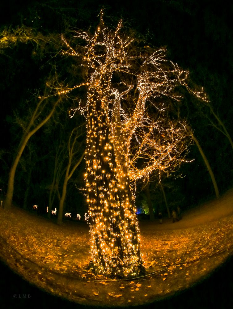 Weihnachts-Baum