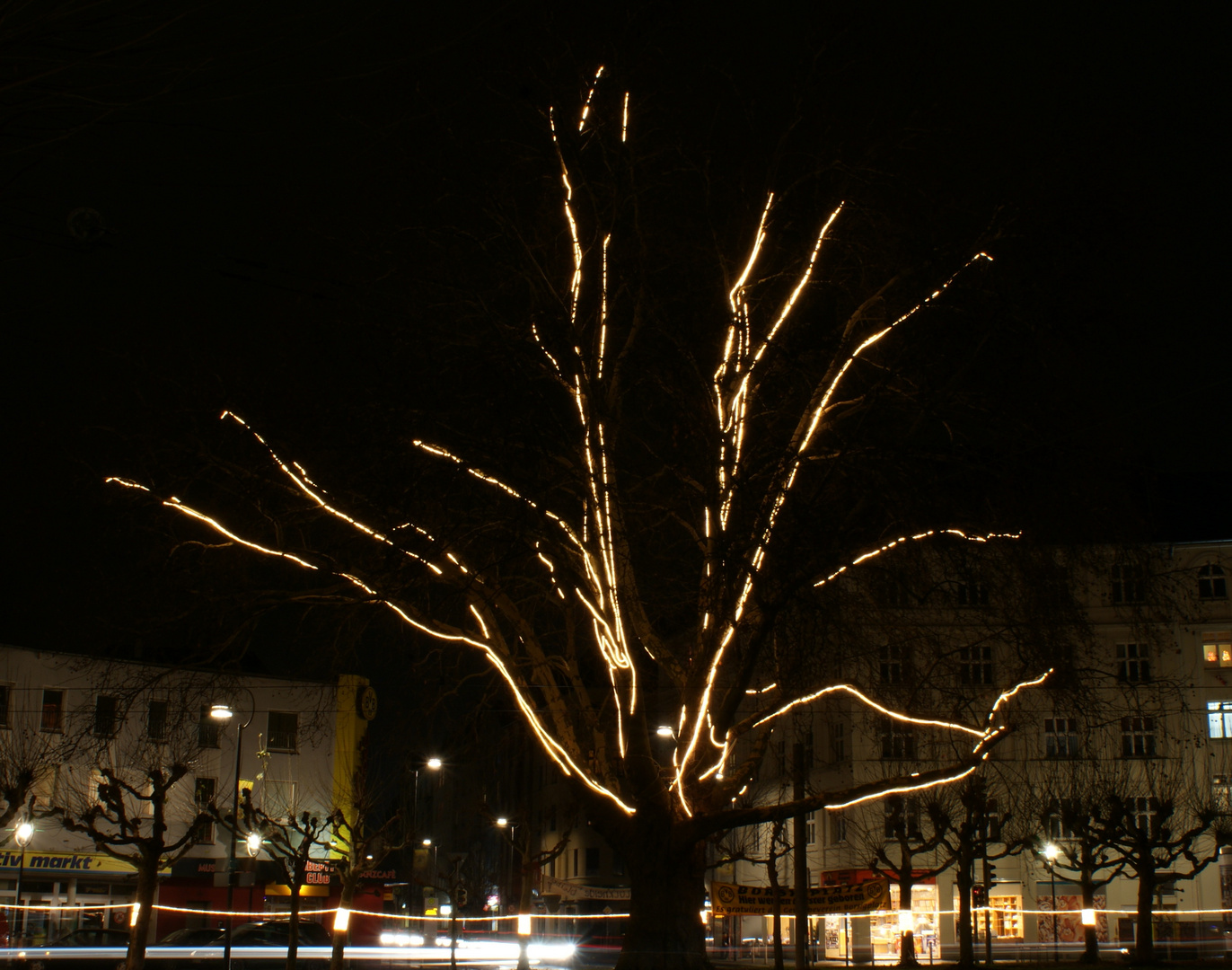 "Weihnachts"-Baum mal anders