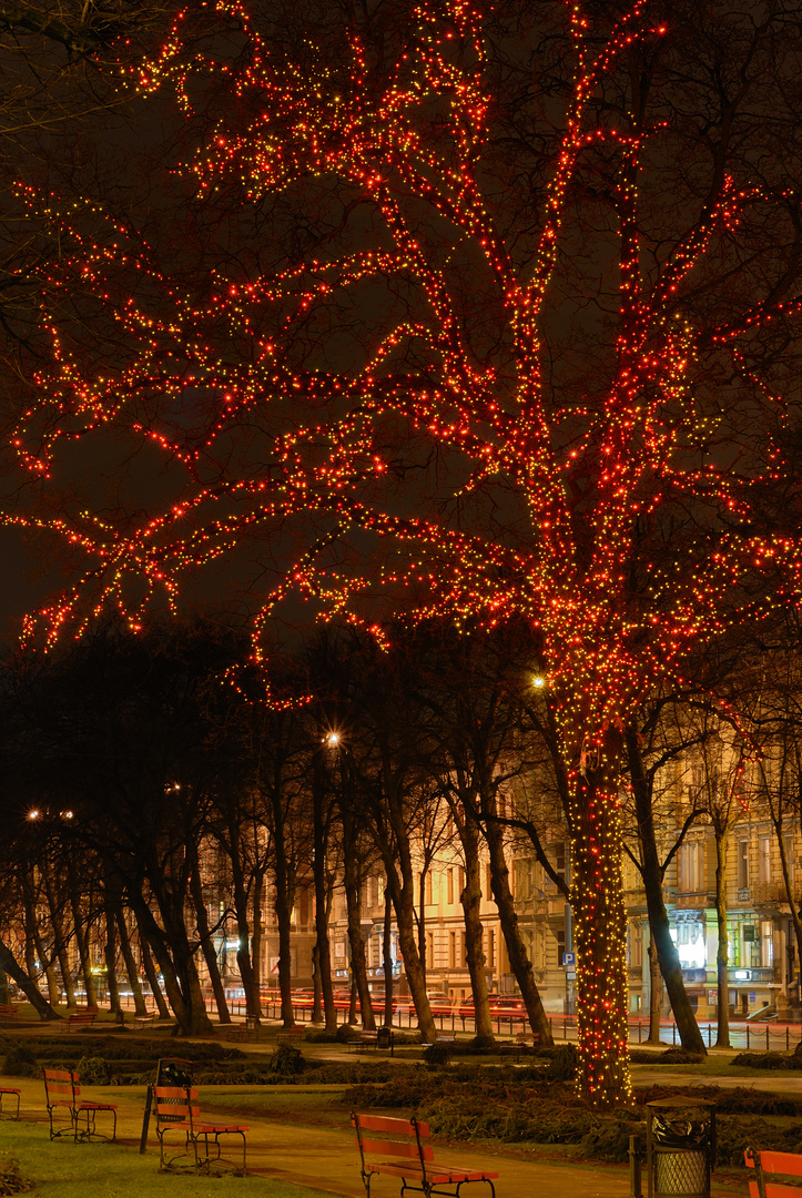 Weihnachts- Beleuchtung in Polen...