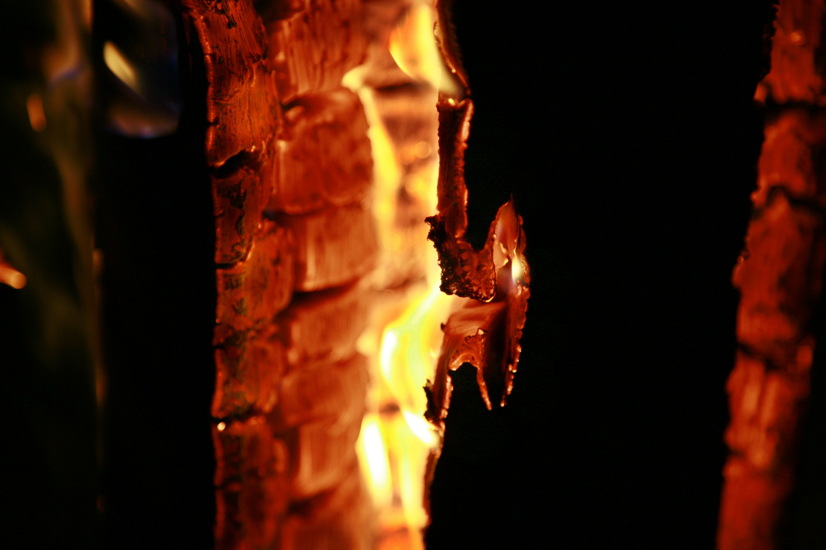 Weihnachts-Feuer-Traum