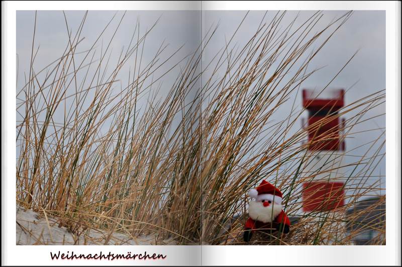 Weihnachts - Märchen