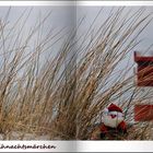 Weihnachts - Märchen