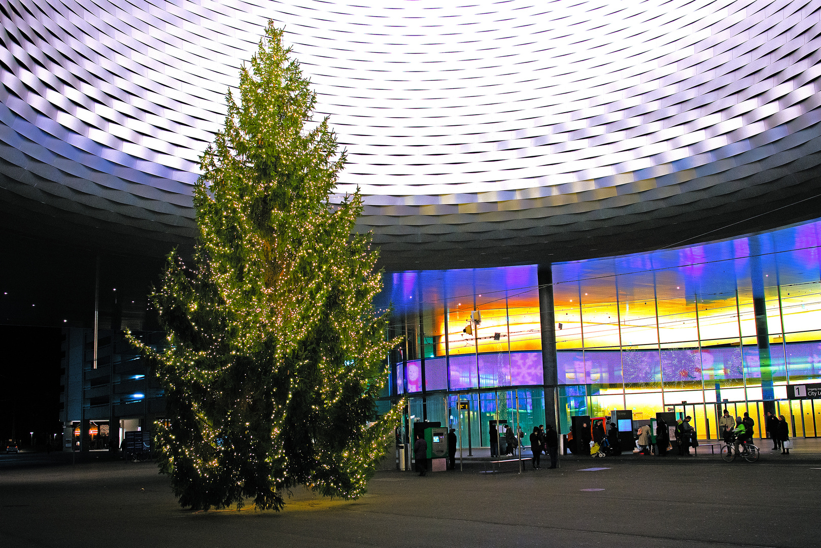 Weihnachts-Traum-vom-Baum? 