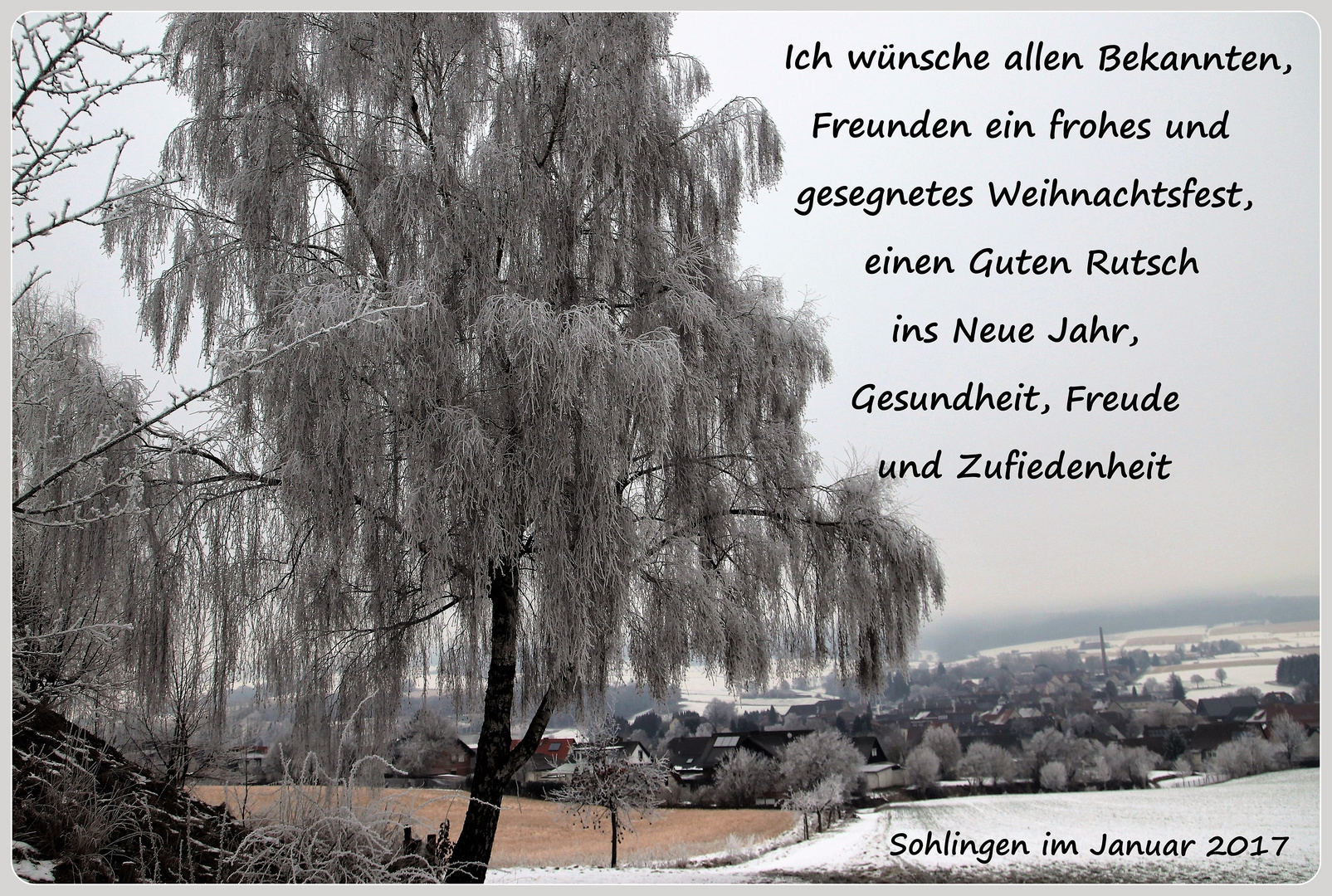 Weihnachts und Neujahrsgrüße Foto & Bild gratulation und feiertage