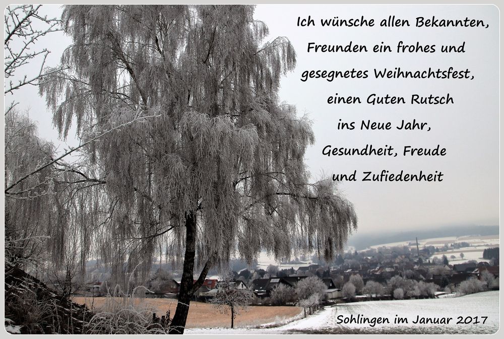 Weihnachts und Neujahrsgrüße Foto & Bild gratulation und feiertage