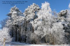 Weihnachts- und Neujahrsgrüße