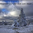 Weihnachts- und Neujahrswünsche