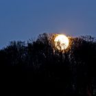 Weihnachts Vollmond