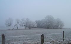 Weihnachts-Wetter