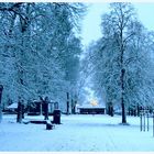 Weihnachtsabend im Park