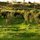 Weihnachtsabend in Sizilien / Vigilia di Natale in Sicilia (1)