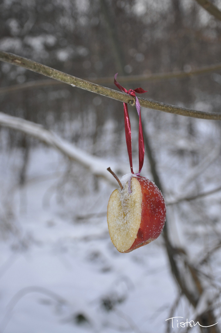 Weihnachtsapfel