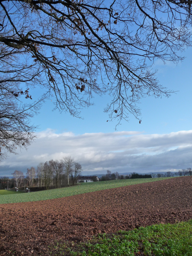 Weihnachtsaussichten 2011