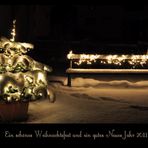 Weihnachtsbäumchen im Garten