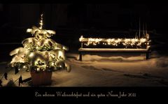 Weihnachtsbäumchen im Garten