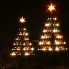 Weihnachtsbäume in Nürnberg