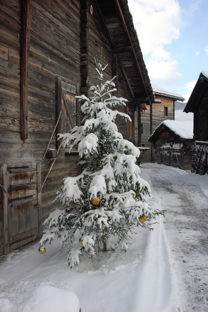 Weihnachtsbaum by Daniel Kreuzer Vt 