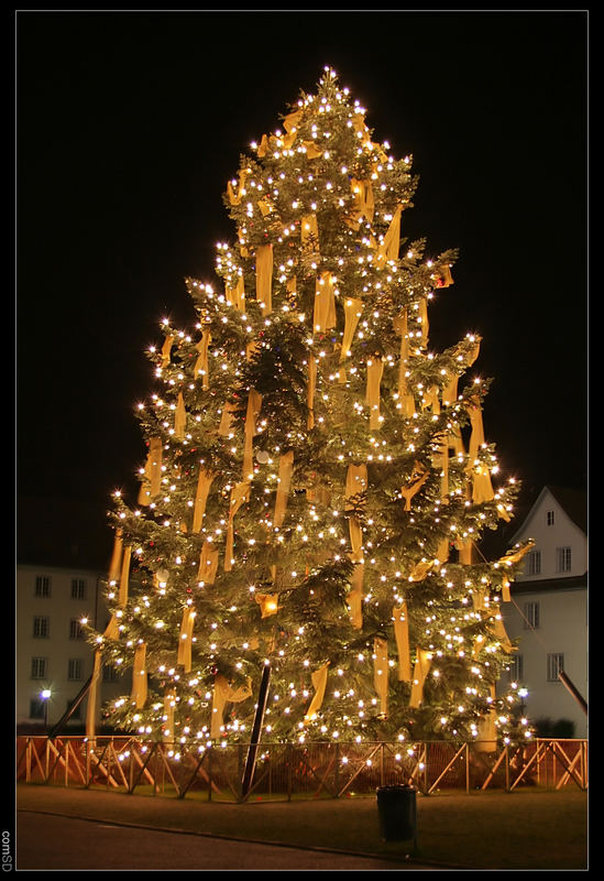 Weihnachtsbaum