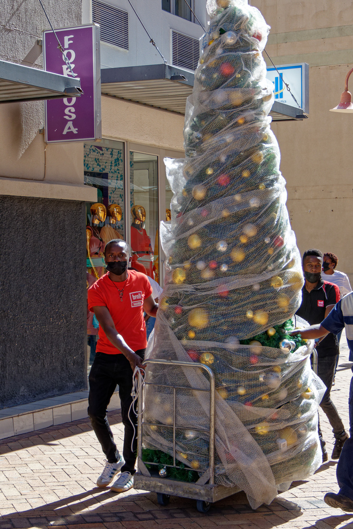 Weihnachtsbaum