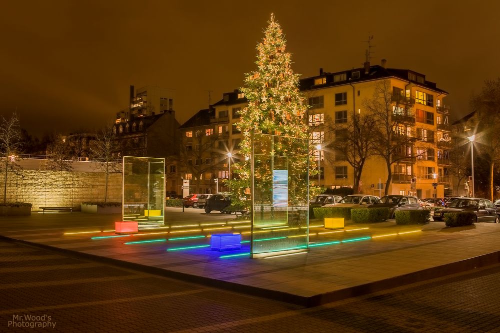 Weihnachtsbaum