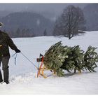 Weihnachtsbaum