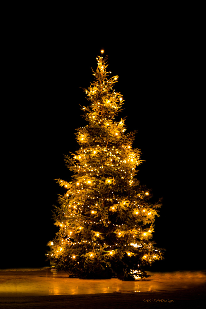 Weihnachtsbaum 1
