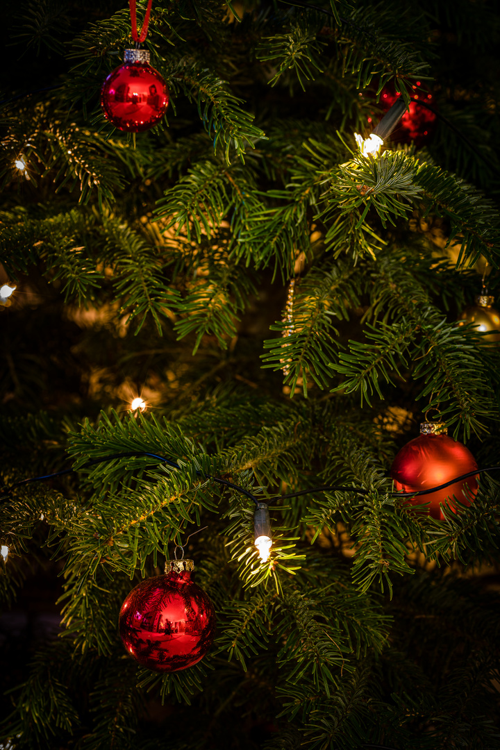 Weihnachtsbaum 11