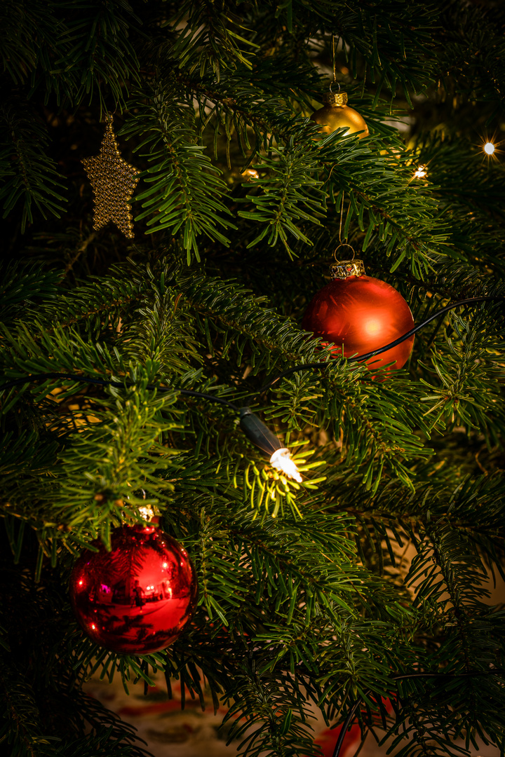 Weihnachtsbaum 17