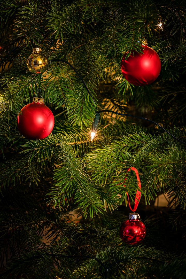 Weihnachtsbaum 18