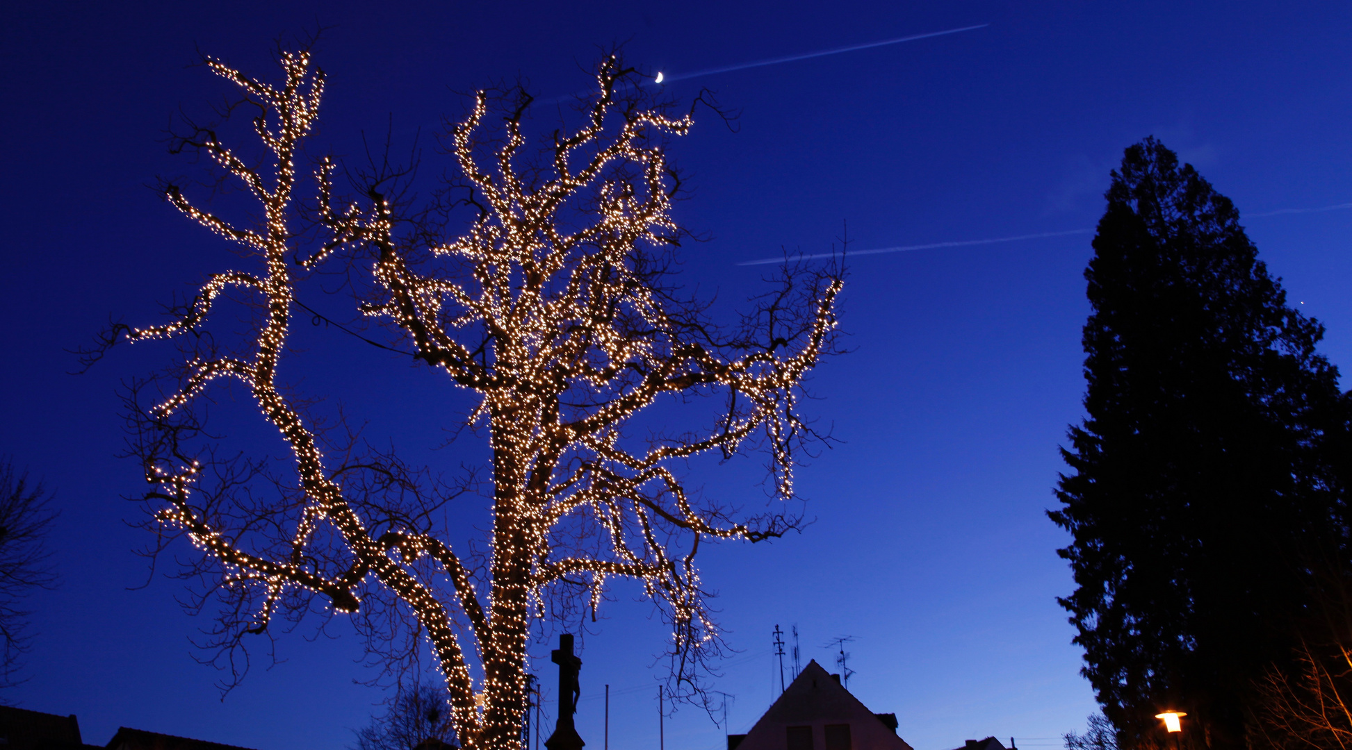 Weihnachtsbaum 2