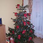 Weihnachtsbaum 2007