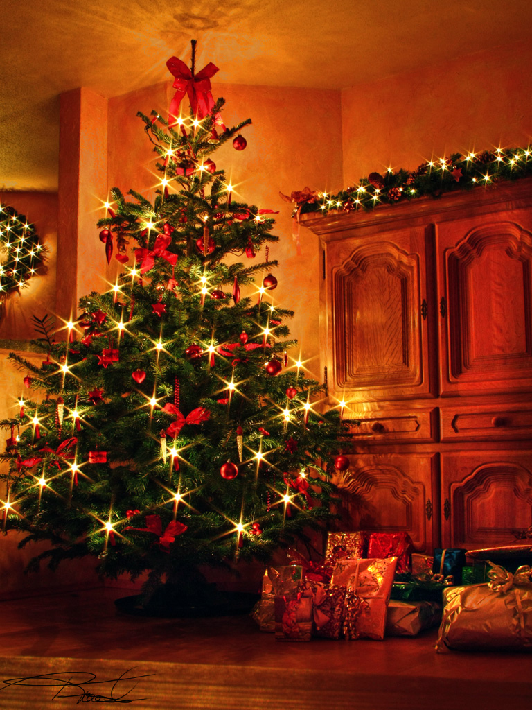 Weihnachtsbaum 2009