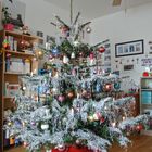 Weihnachtsbaum 2013